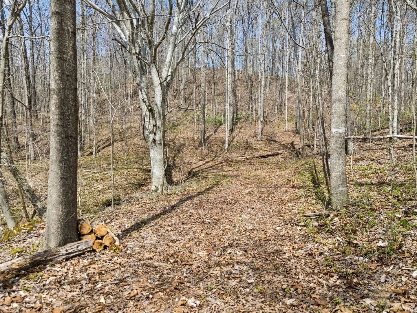 Property from 0 Old Highway 31E - KW - Westmoreland, Tennessee, 37186