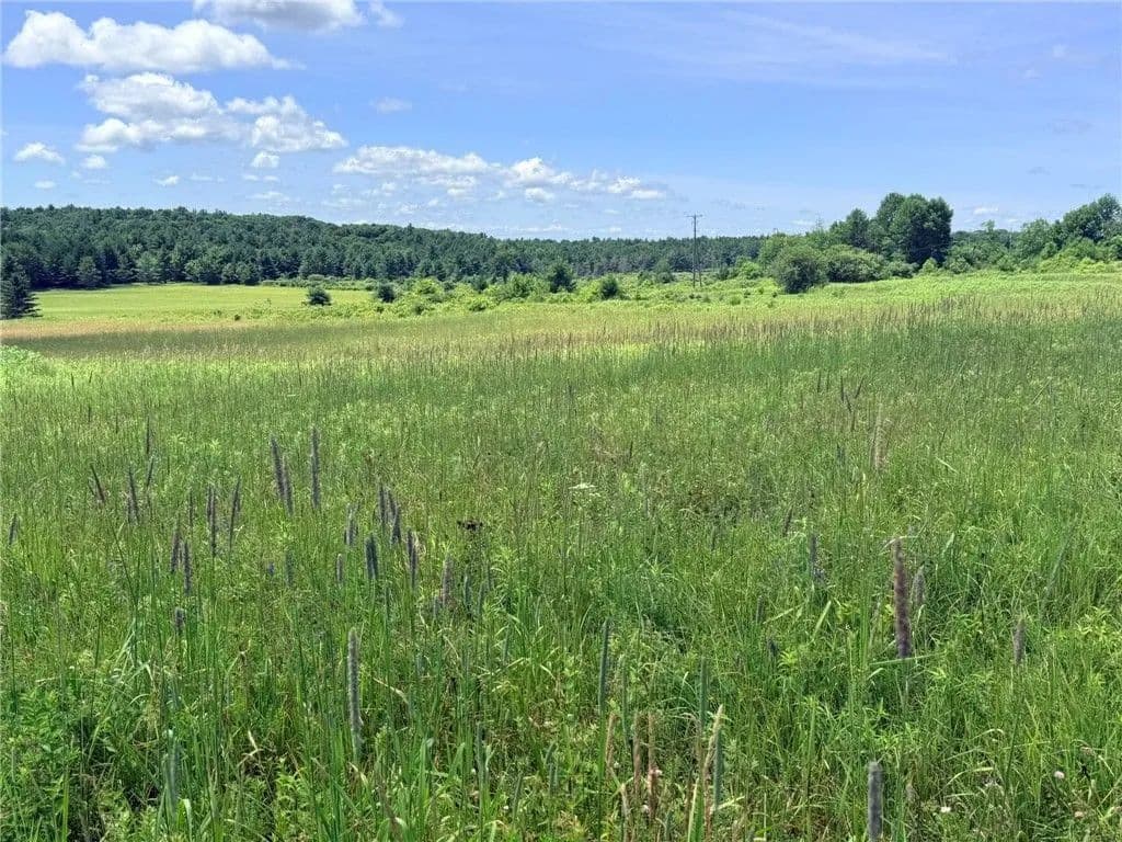 Land -Single Family Acreage in Guilford - Guilford, New York, 13780