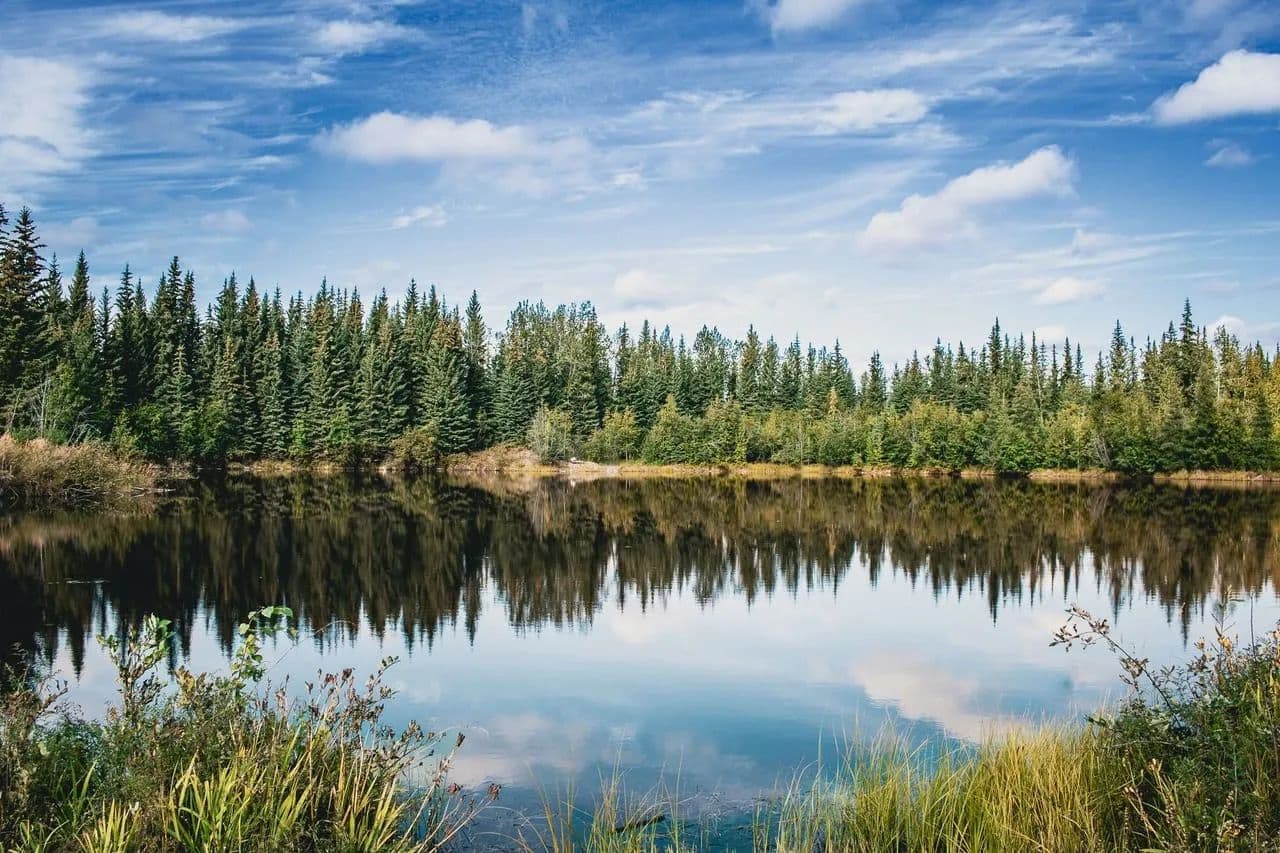Turnkey Alaskan Hospitality Business: 5 Waterfront Log Cabins - North Pole, Alaska, 99705