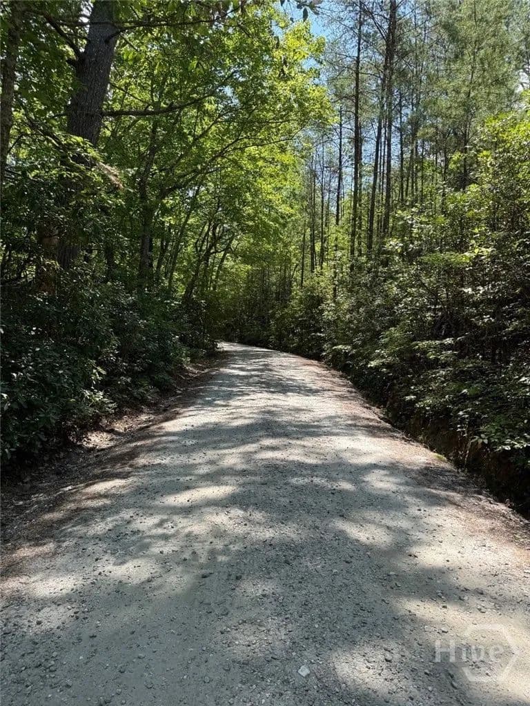 Vacant Land in Sautee Nacoochee - Georgia, 30571