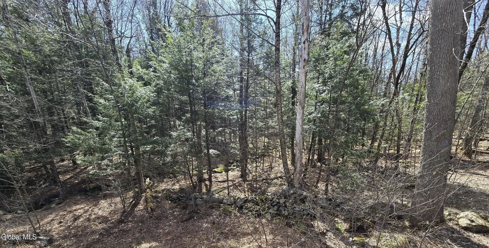 10.1 Acres of Land for Sale in Becket, Massachusetts - Becket, Massachusetts, 01223