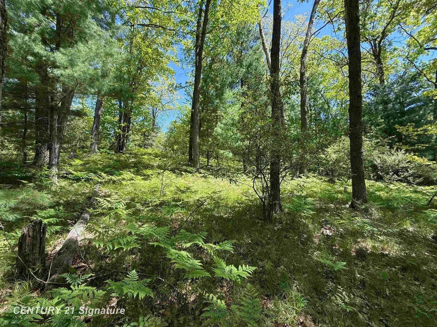Property from 981 E Cranberry Lake - KW - Harrison, Michigan, 48625