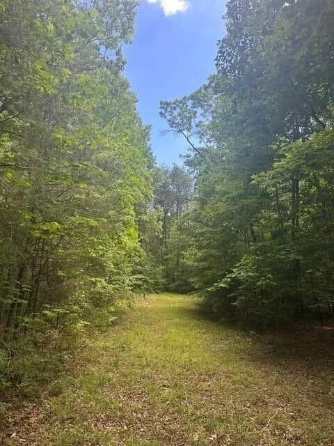 5.01 Acres of Land for Sale in Altamont, Tennessee - Altamont, Tennessee, 37301