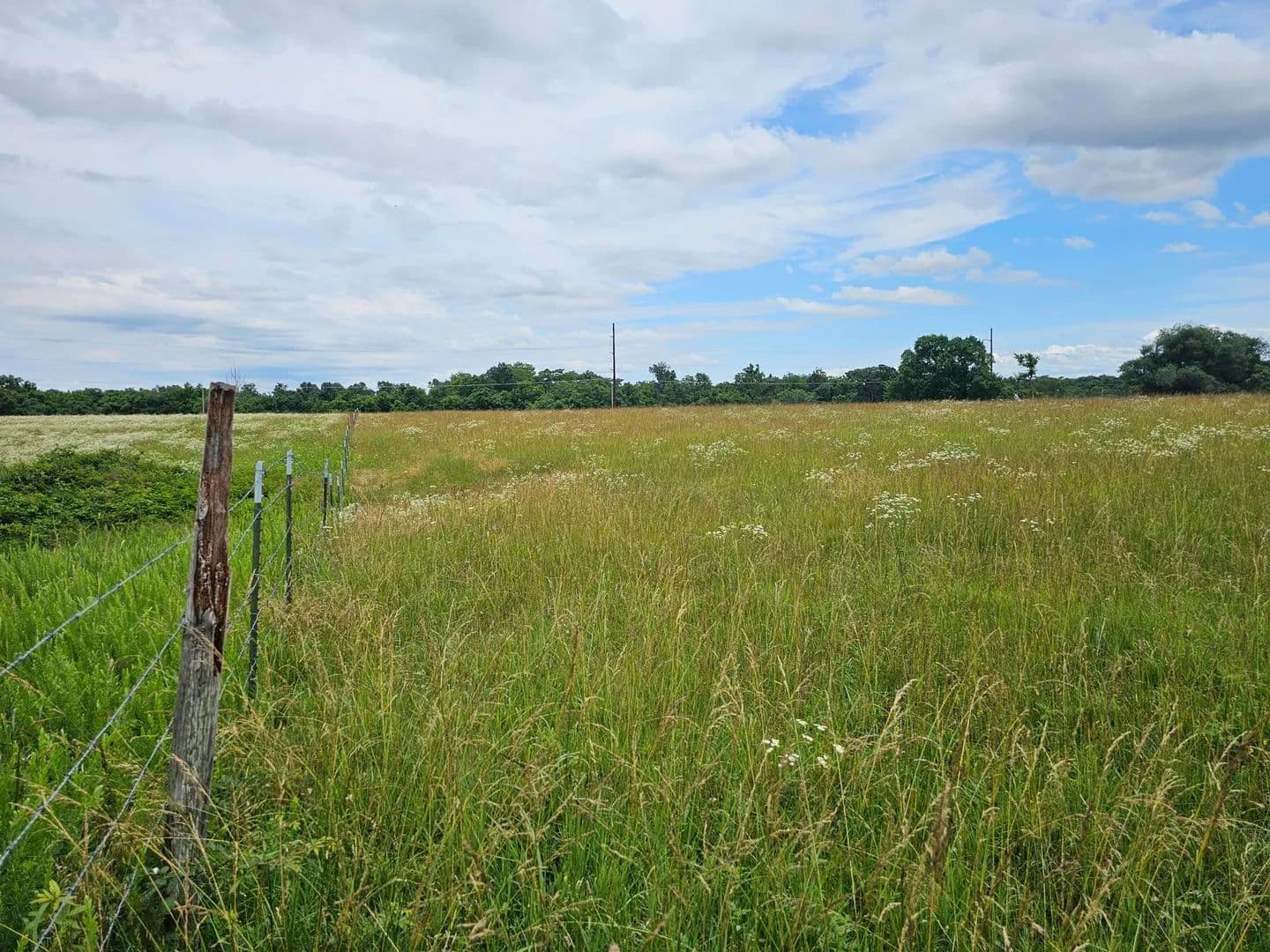 Property from Lot 8 Lightning Bug Lane - KW - Goodman, Missouri, 64843
