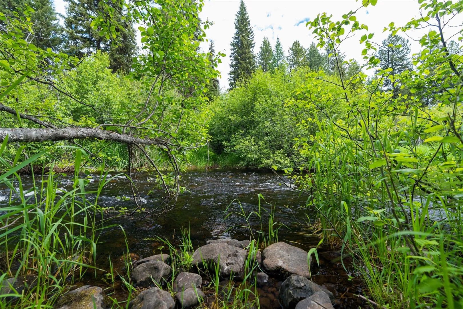 Property from 58 Loon Connector Road - KW - Libby, Montana, 59923