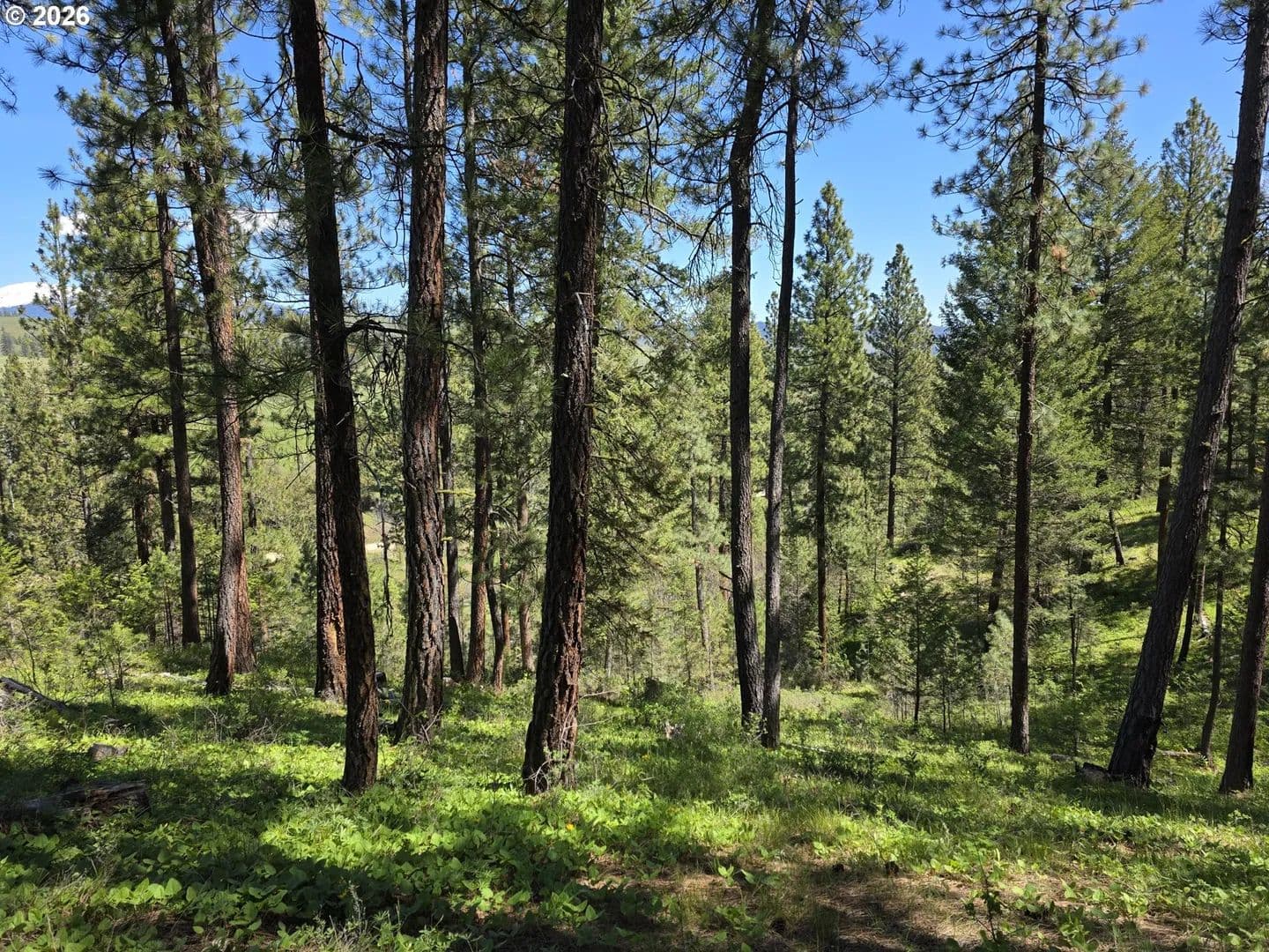 Property from Unknown Address - KW - Baker City, Oregon, 97814