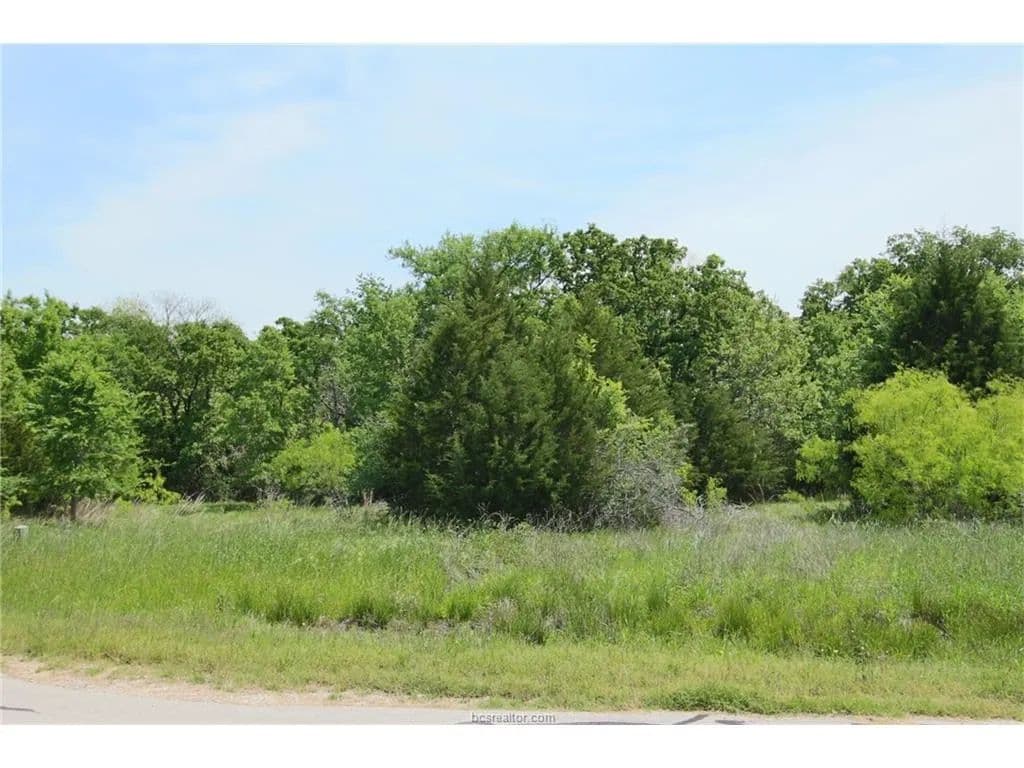 1.13 Acres of Land for Sale in Bryan, Texas - Bryan, Texas, 77808