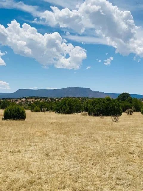 16.04 Acres of Land for Sale in Ribera, NM - Ribera, New Mexico, 87565