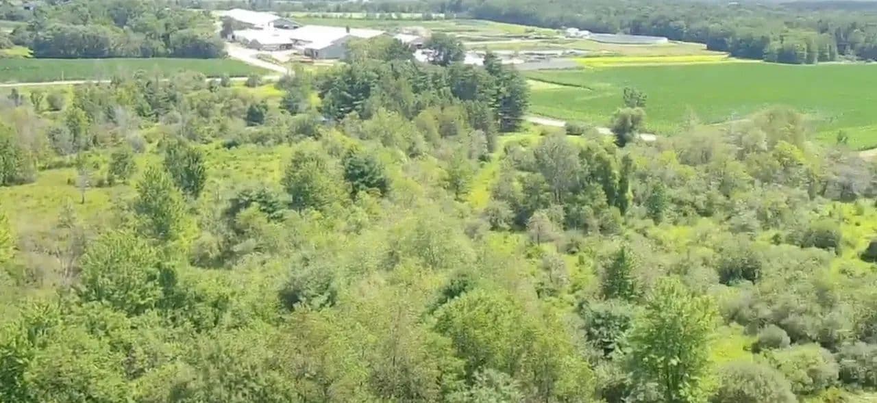 18.5± Acre Building Lot - Frontage on 2 Roads in Lawtons, NY - Lawtons, New York, 14081
