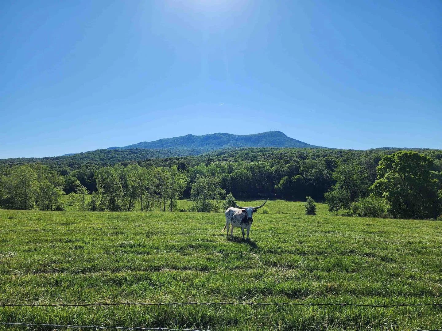 Property from TBD INDIAN TRAIL RD - KW - Penn Laird, Virginia, 22846