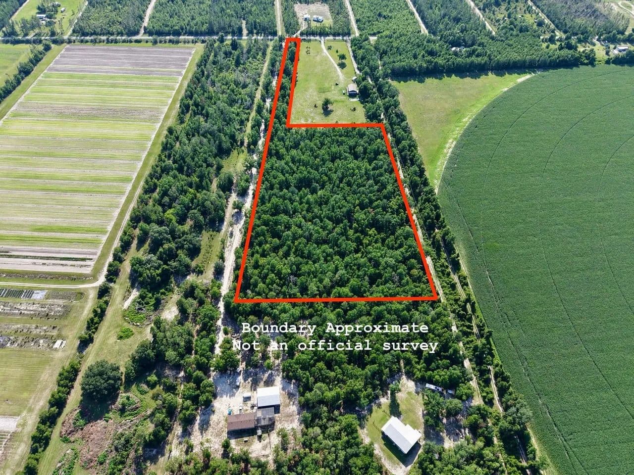 Private wooded acreage with country appeal. - Lee, Florida, 32059