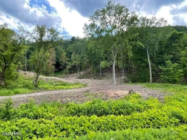 23.36 Acres of Land for Sale in Petersburgh - Petersburgh, 12138