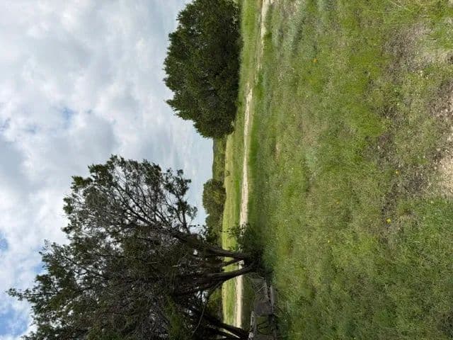 Land -Agricultural (Not Zoned) in Hico - Hico, Texas, 76457