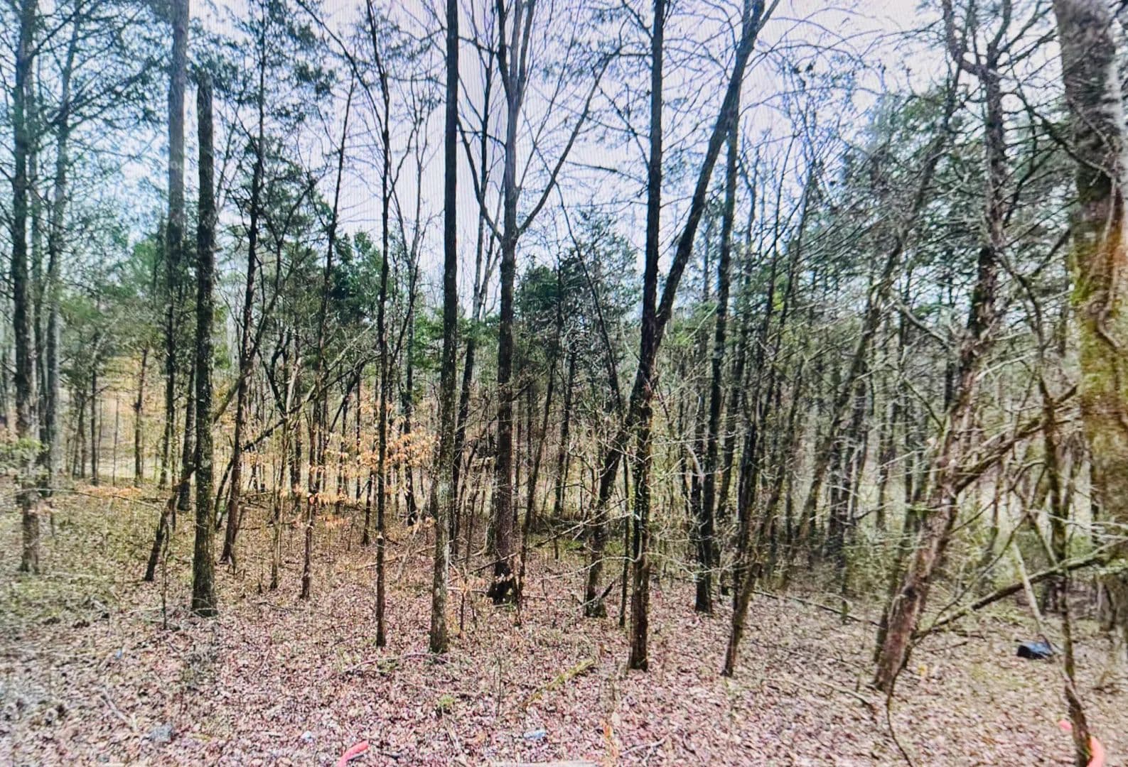 5.3 Acres of Land for Sale in Athens, TN - Athens, Tennessee, 37303