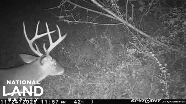 Waterfront Valley Creek Black Belt Hunting Tract - Valley Grande, Alabama, 36701