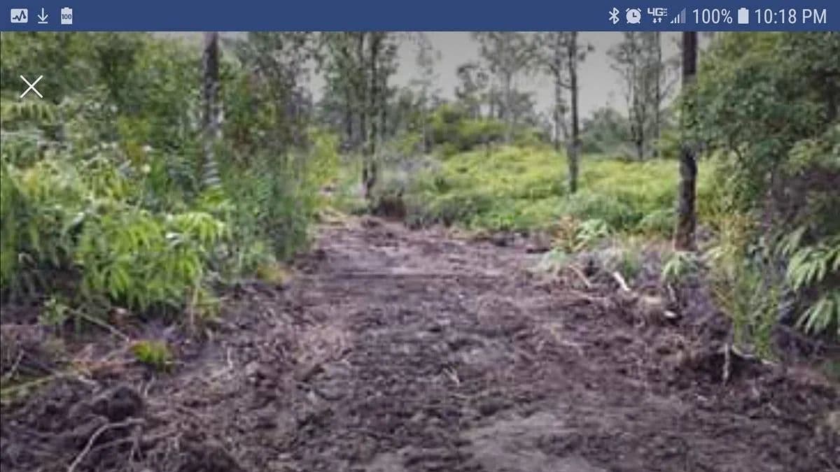 3 Acres of Land for Sale in Mountain View, Hawaii - Mountain View, Hawaii, 96760