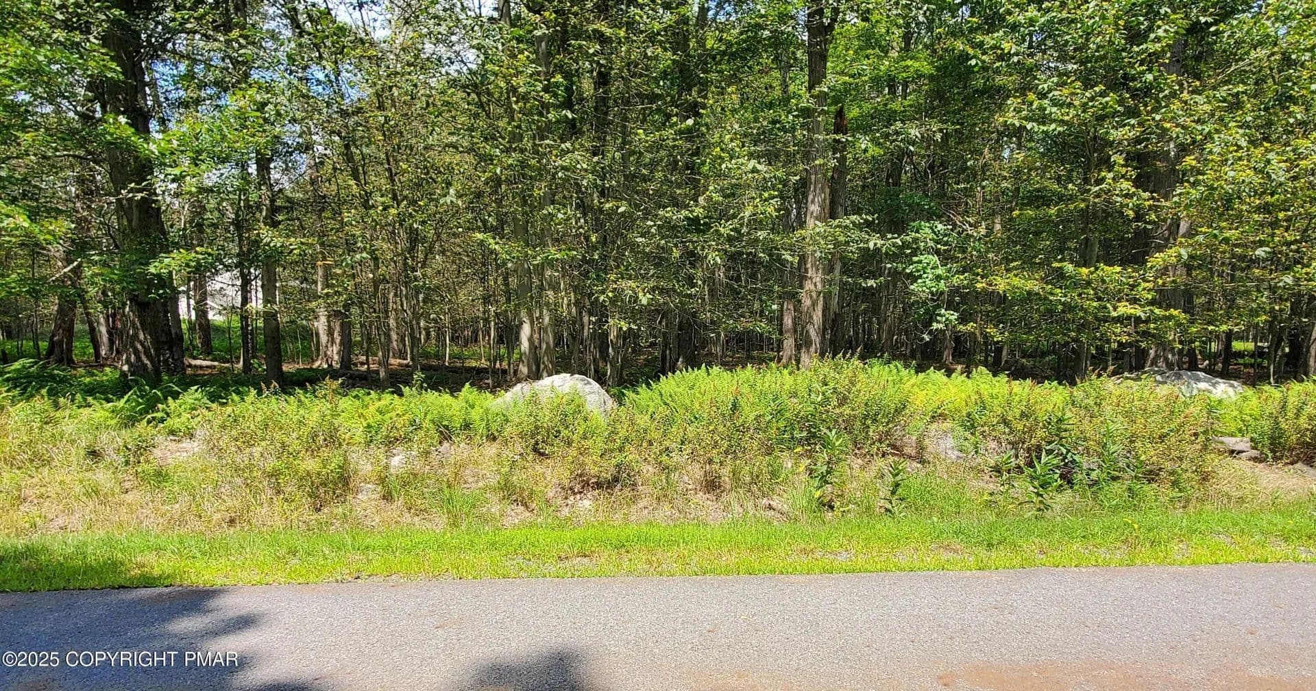 Vacant Land in Clifton Township - Pennsylvania, 18424