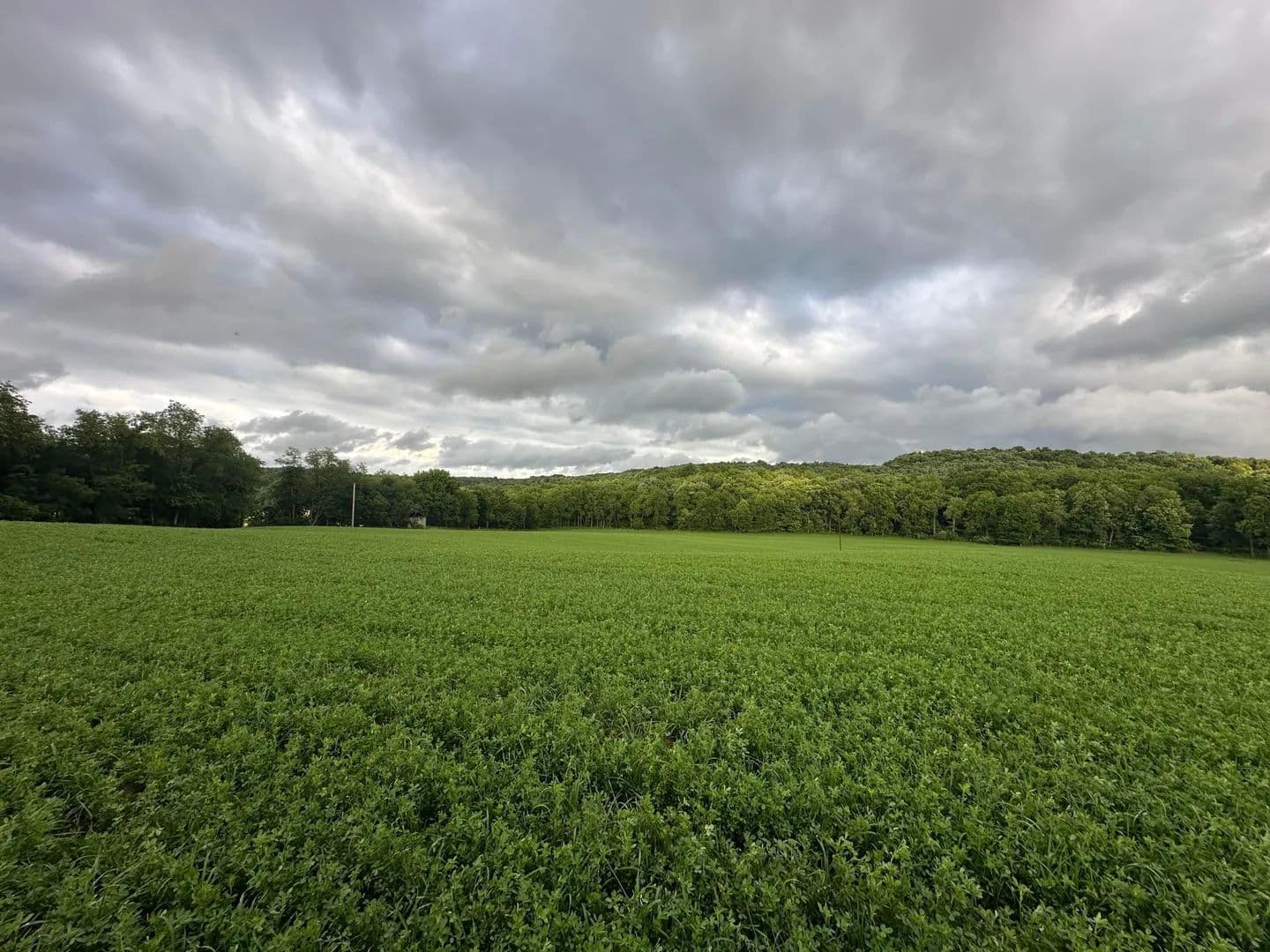 145.14 Acres of Land for Sale in Mount Perry, OH - Mount Perry, Ohio, 43760