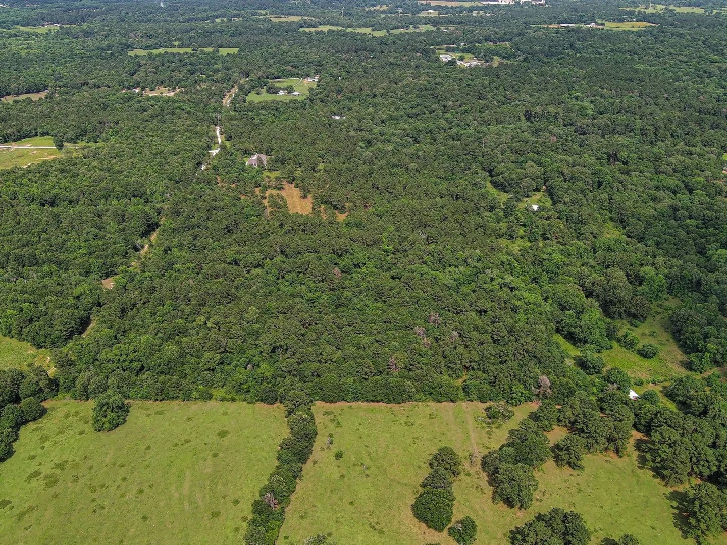 Property from 23299 Sharpwest Trail - KW - Montgomery, Texas, 77356