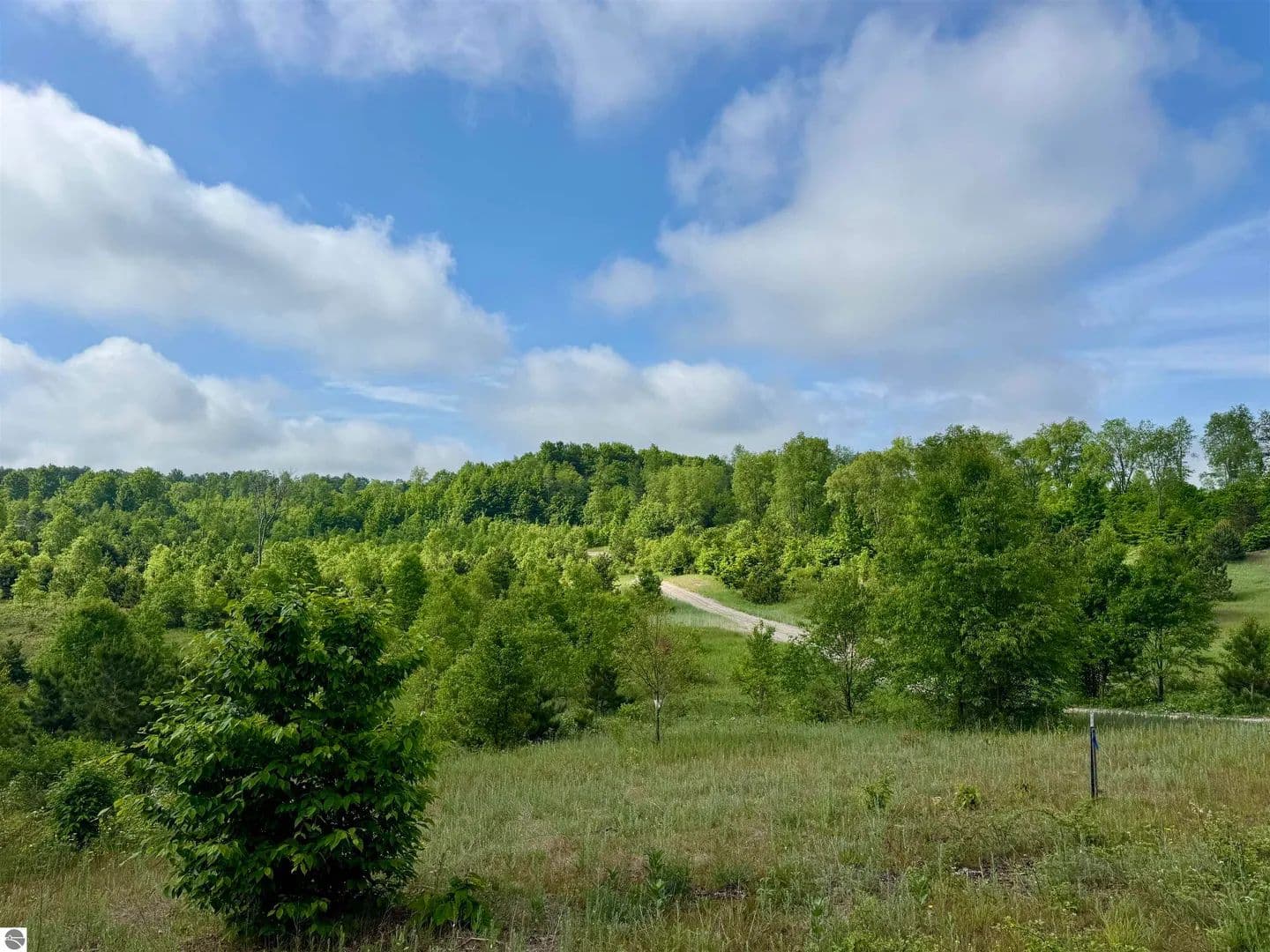 Property from A5 & A9 Kasson Road - KW - Maple City, Michigan, 49664