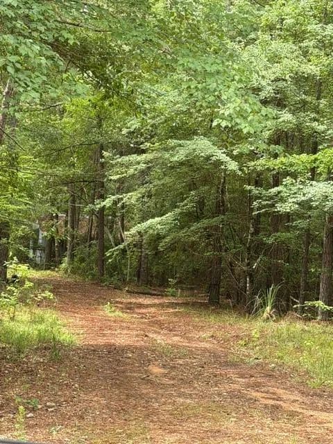 Vacant Land in Seale - Seale, Alabama, 36875