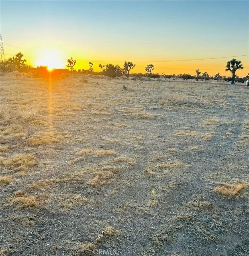 Vacant Land in Joshua Tree - Joshua Tree, California, 92252