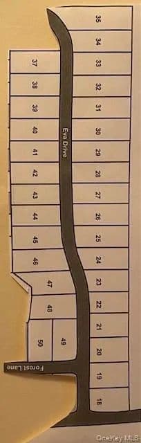 Property from Eva Drive - KW - Monticello, New York, 12701