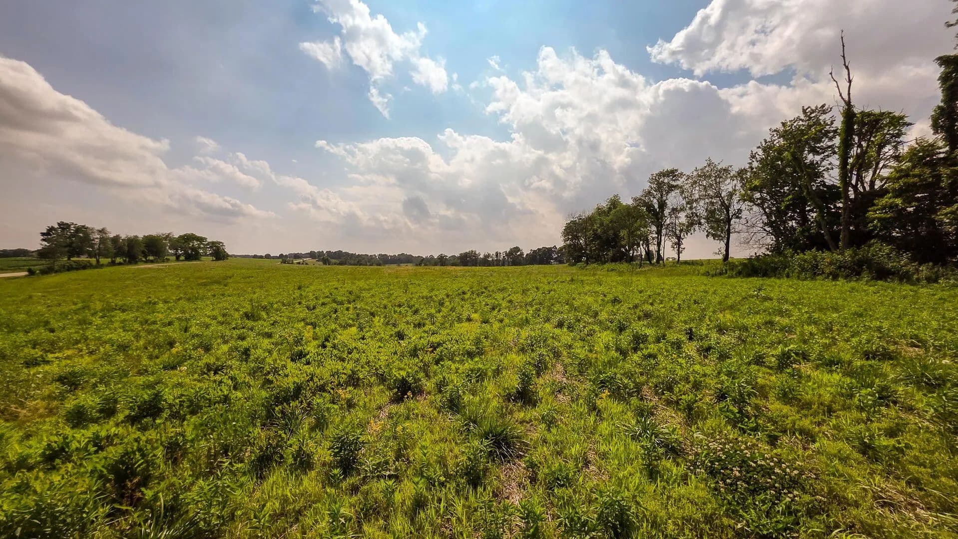 2.08 Acres of Land for Sale in Somerset, OH - Somerset, Ohio, 43783