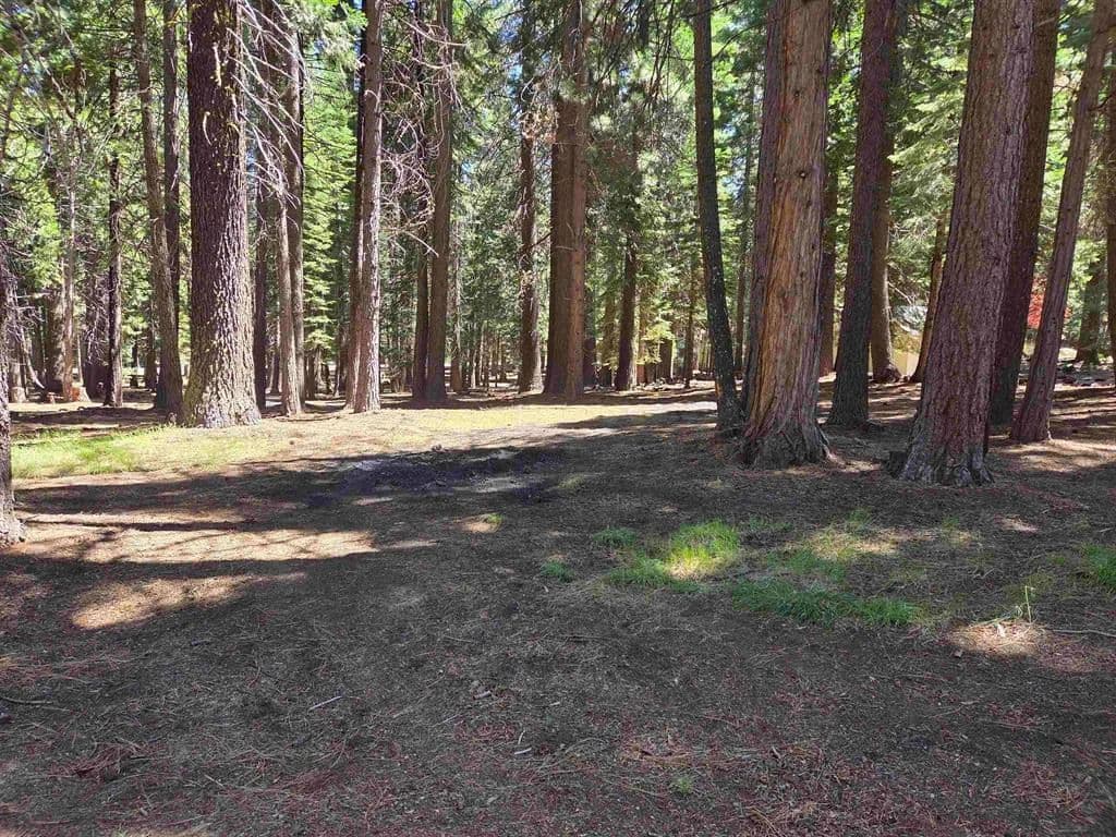 Vacant Land in Lake Almanor West - Lake Almanor West, California, 96020