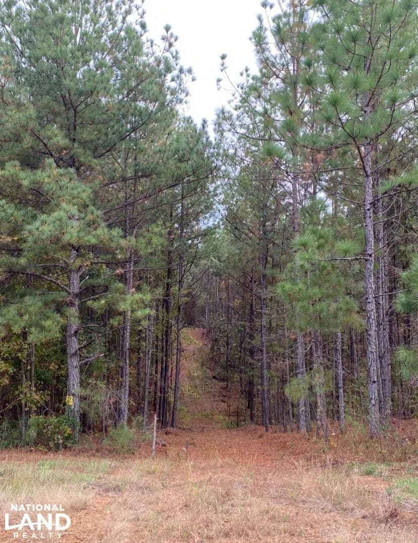 21 Acre Chelsea Mini-Farm - Chelsea, Alabama, 35043