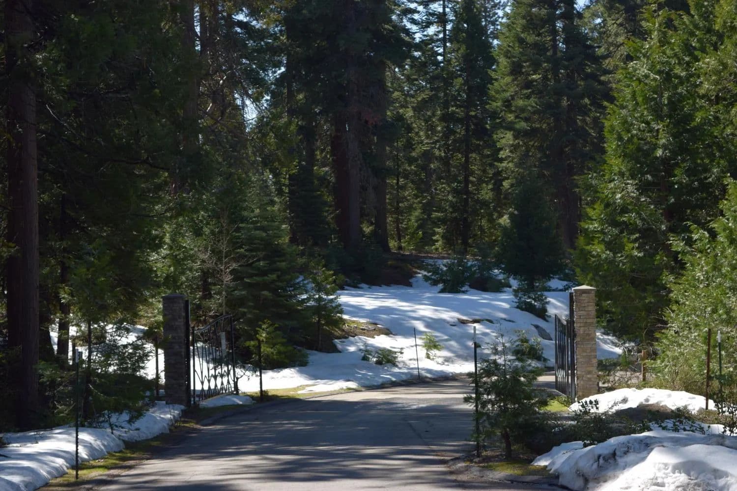 Property from 42368 Cook Cabin Lane - KW - Shaver Lake, California, 93664