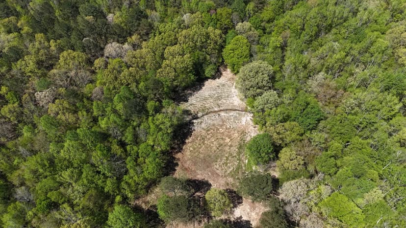 35.3 Acres in Hardeman County, TN