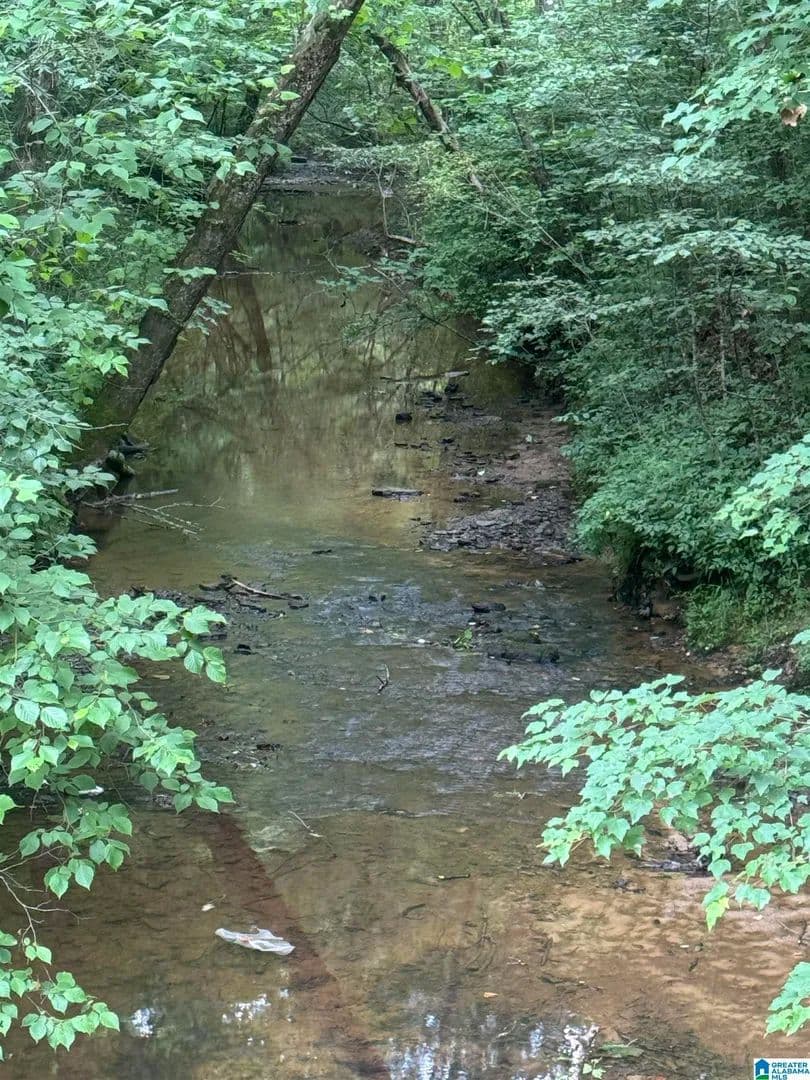 17 Acres of Land for Sale in Ragland, Alabama - Ragland, Alabama, 35131