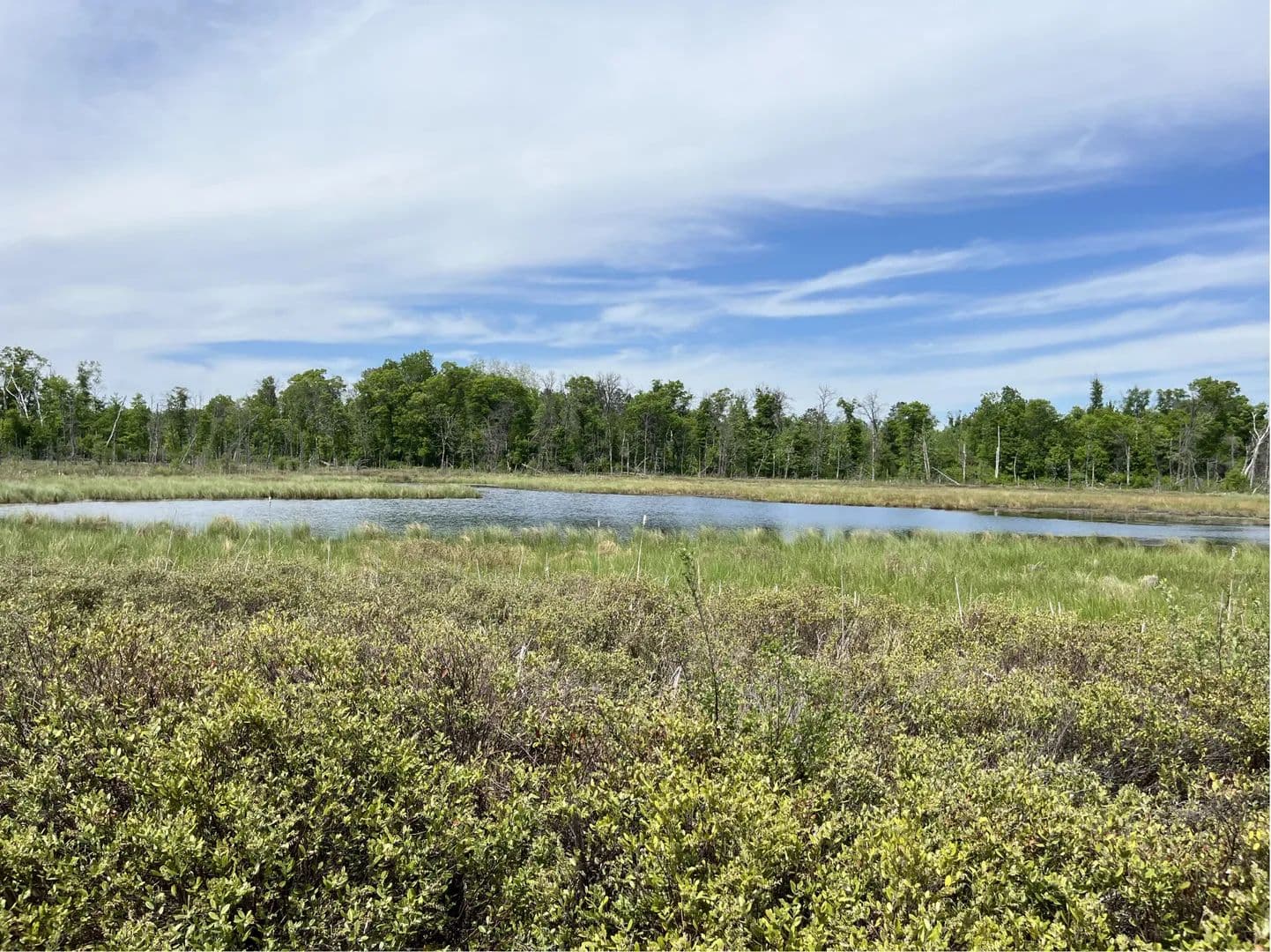 40.64 Acres of Land for Sale in Merrifield, Minnesota - Merrifield, Minnesota, 56465