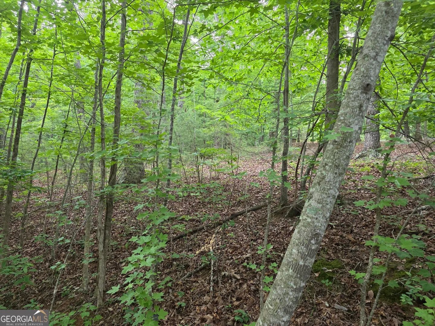 Property from 2 LOTS Oak Forest - KW - Clarkesville, Georgia, 30523