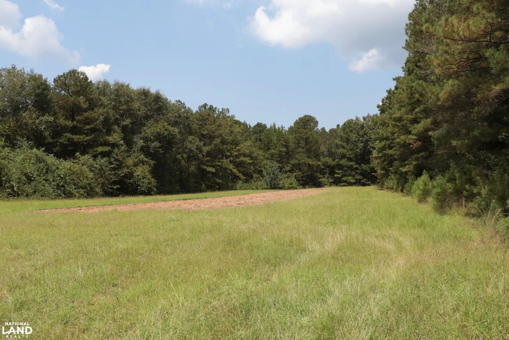 Perdue Hunting Tract - Clanton, Alabama, 35045