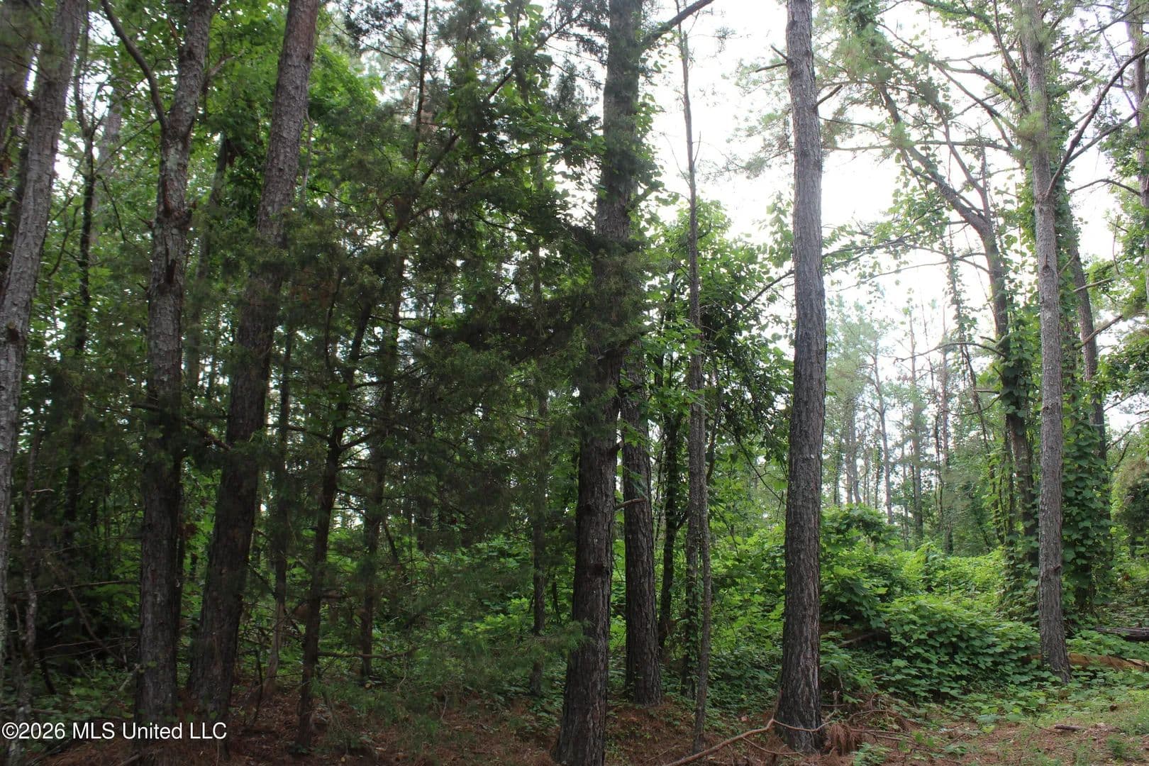 Property from 351 Waites - KW - Holly Springs, Mississippi, 38635