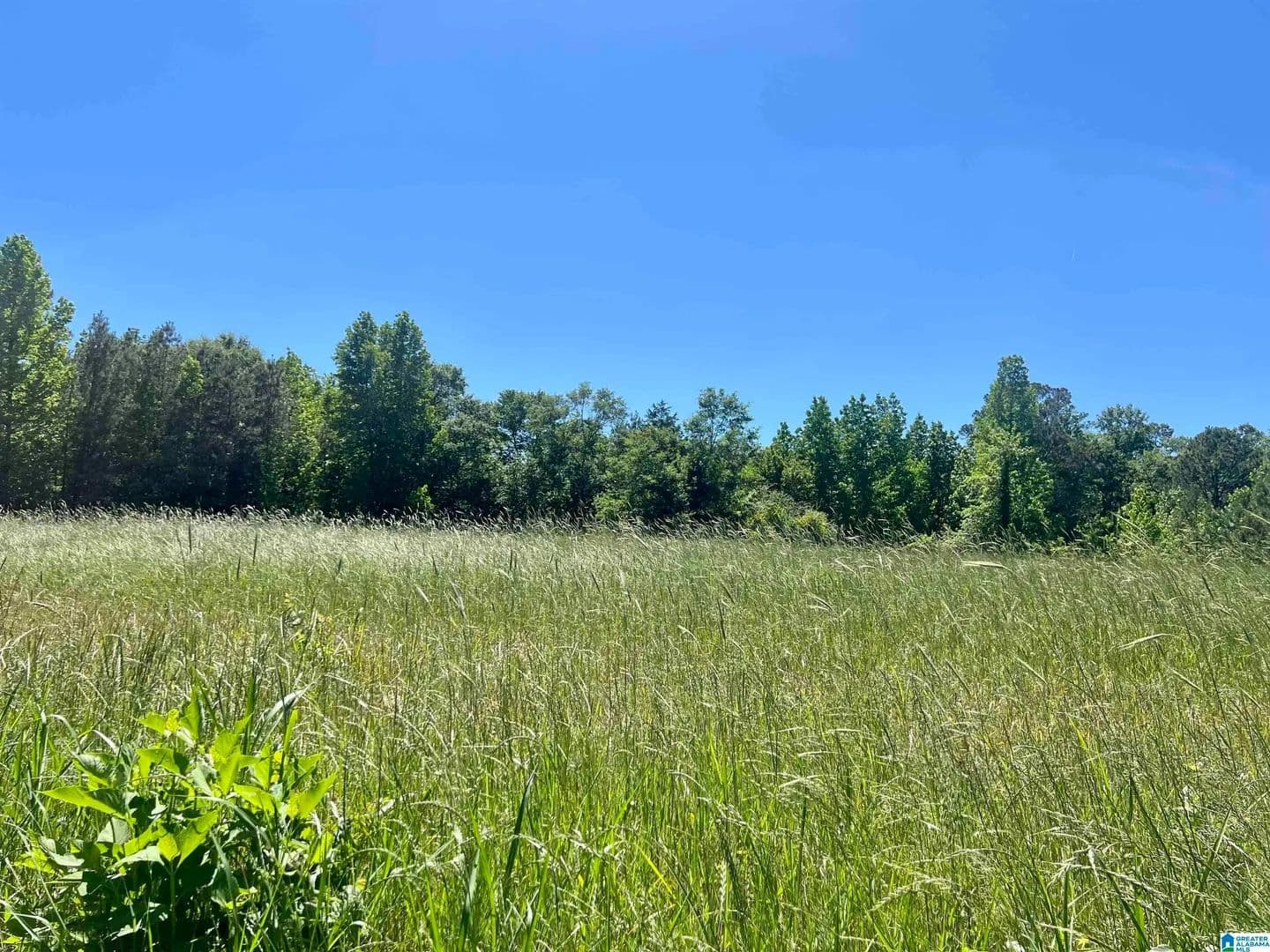 Property from 0 COUNTY ROAD 7 #0 - KW - Wedowee, Alabama, 36278