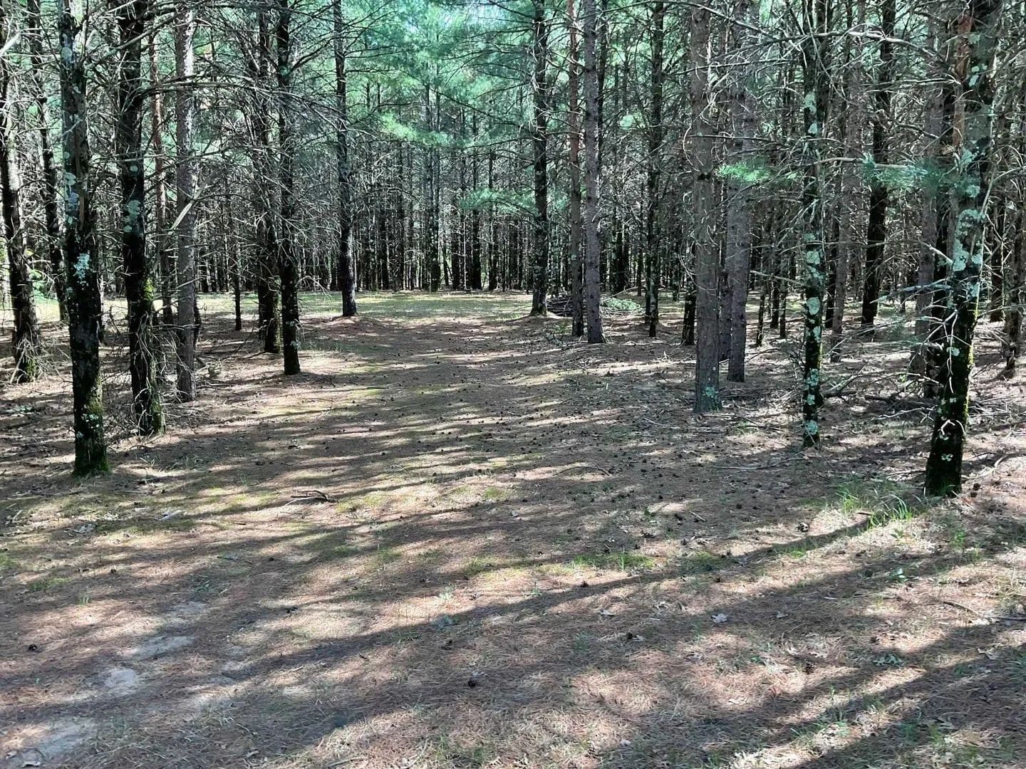 Property from 5.7 Acres Browndeer Avenue - KW - Big Flats, Wisconsin, 53934