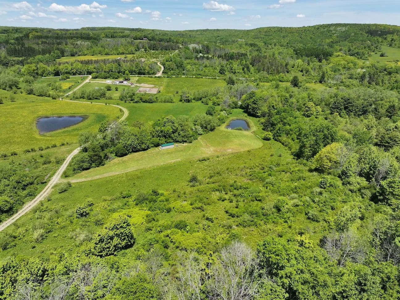 11.87 acre Building Lot and Recreational Land with Pond in Cuba NY N. Branch Rd - Cuba, New York, 14739