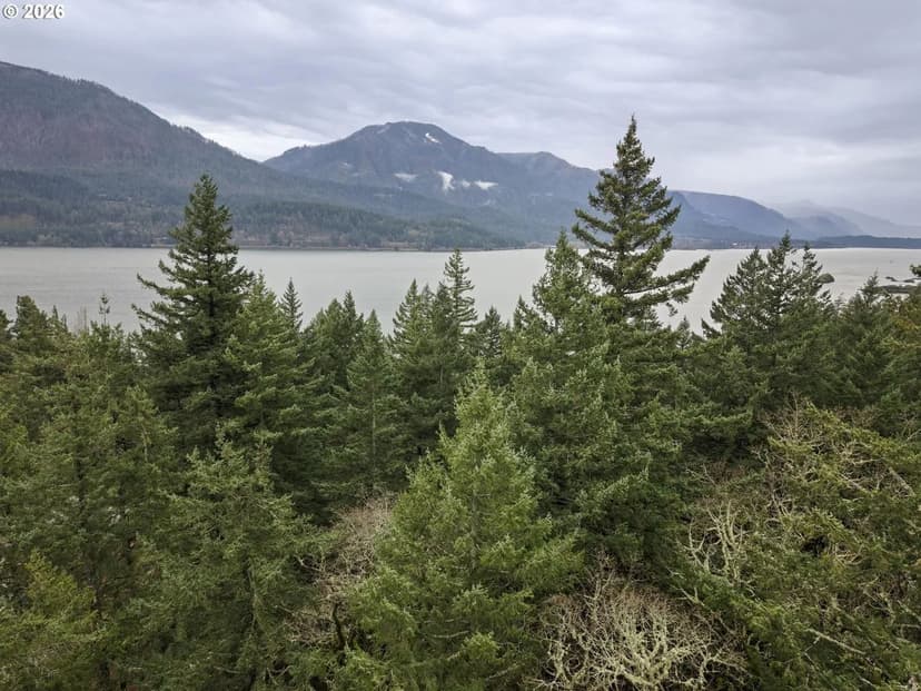 Lots & Land-Other in Carson