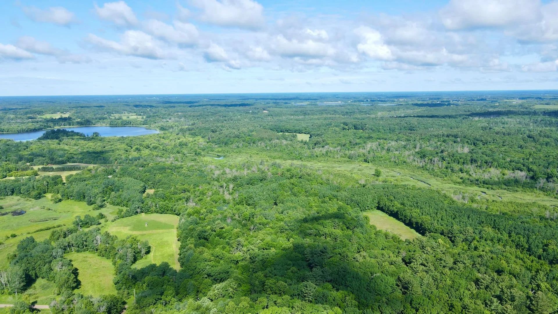 82.21 Acres of Land for Sale in Stanchfield, MN - Stanchfield, Minnesota, 55080