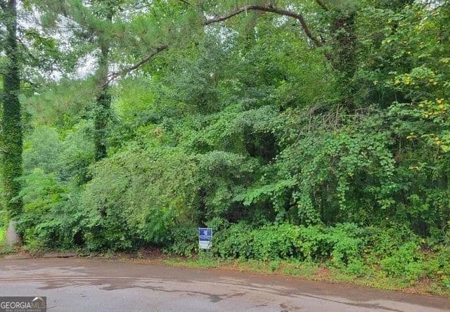 0.29 Acres of Land for Sale in Morrow, Georgia - Morrow, Georgia, 30260