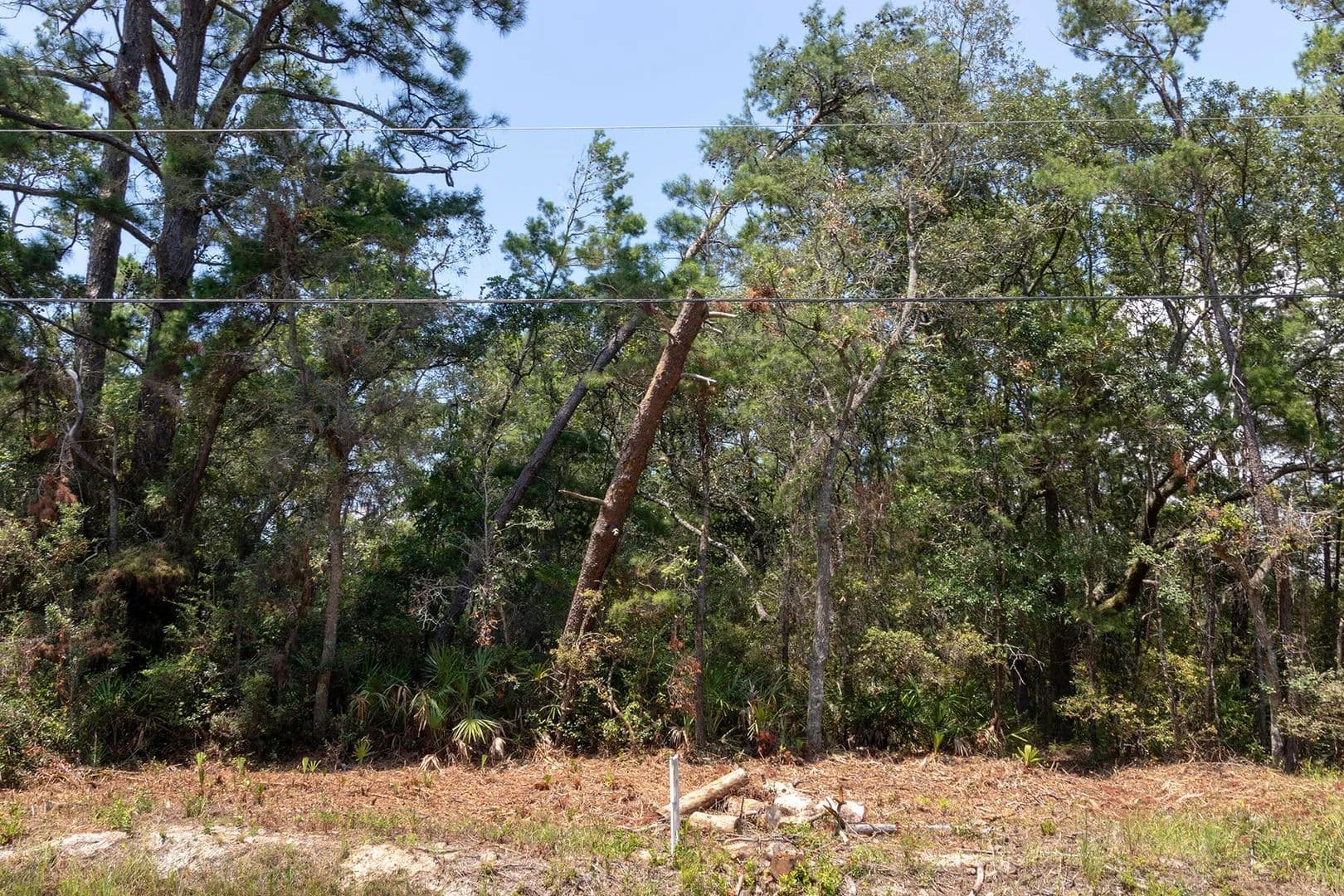 Property from 27 E Point Washington Road - KW - Santa Rosa Beach, Florida, 32459