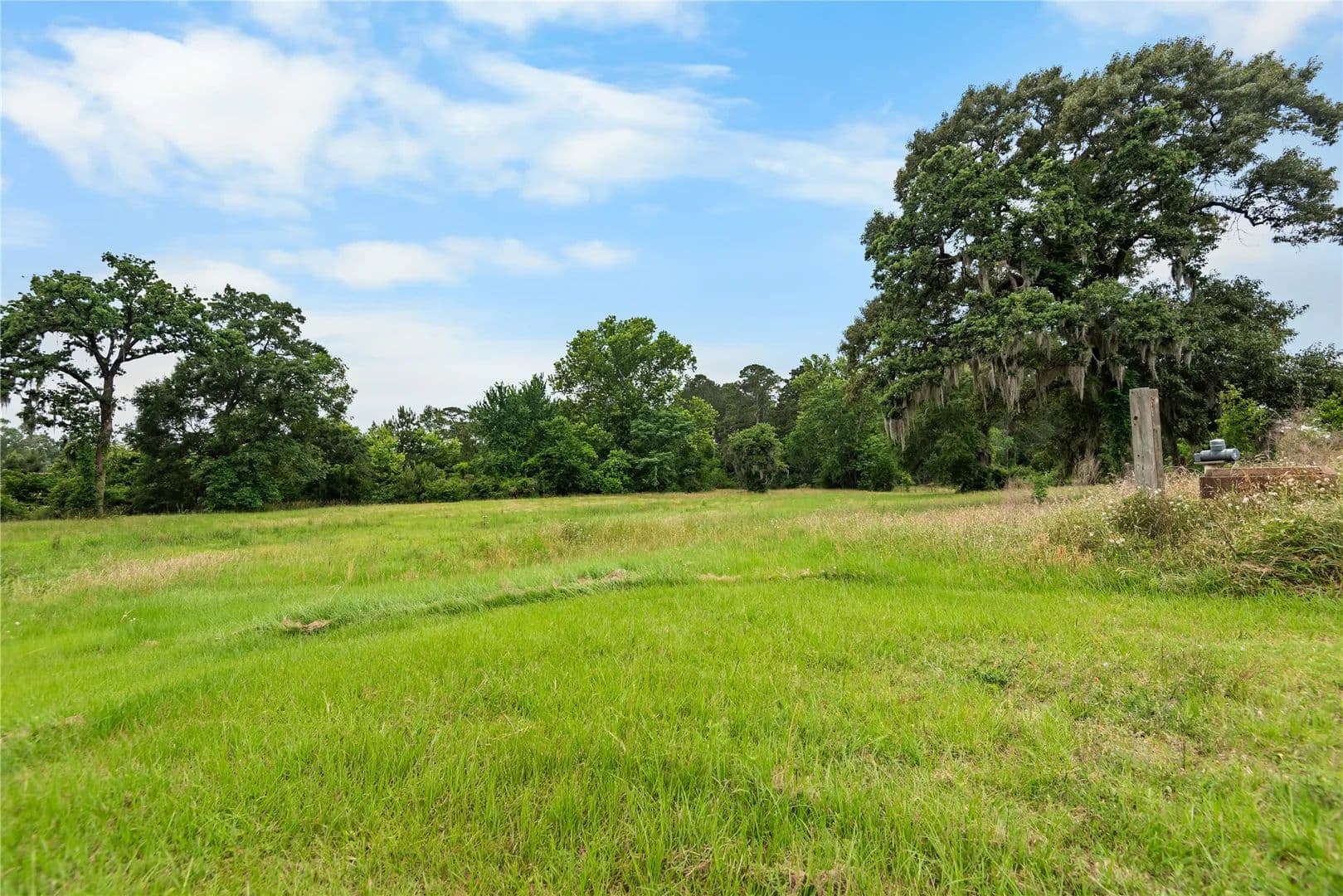 Property from 30307 Rickett Lane - KW - Magnolia, Texas, 77355