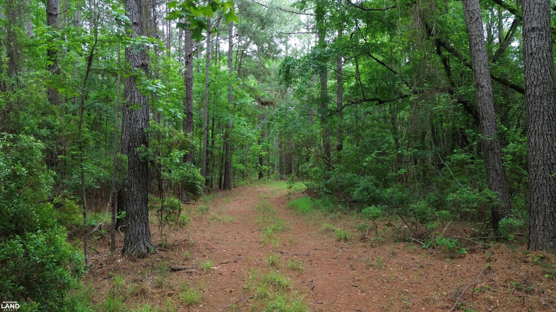 Lane's Retreat - 100 +/- Acre Recreational Property - Lane, South Carolina, 29564