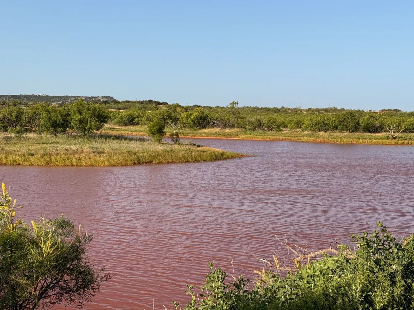 New Listing!!! 53+/- Ac (Tr6), Taylor Co - Ovalo, Texas, 79541