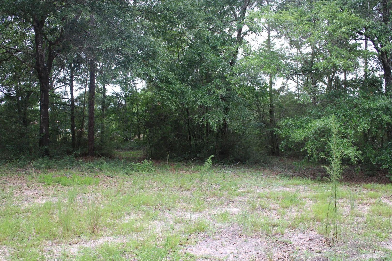 Property from TBD Simpson - KW - Defuniak Springs, Florida, 32433