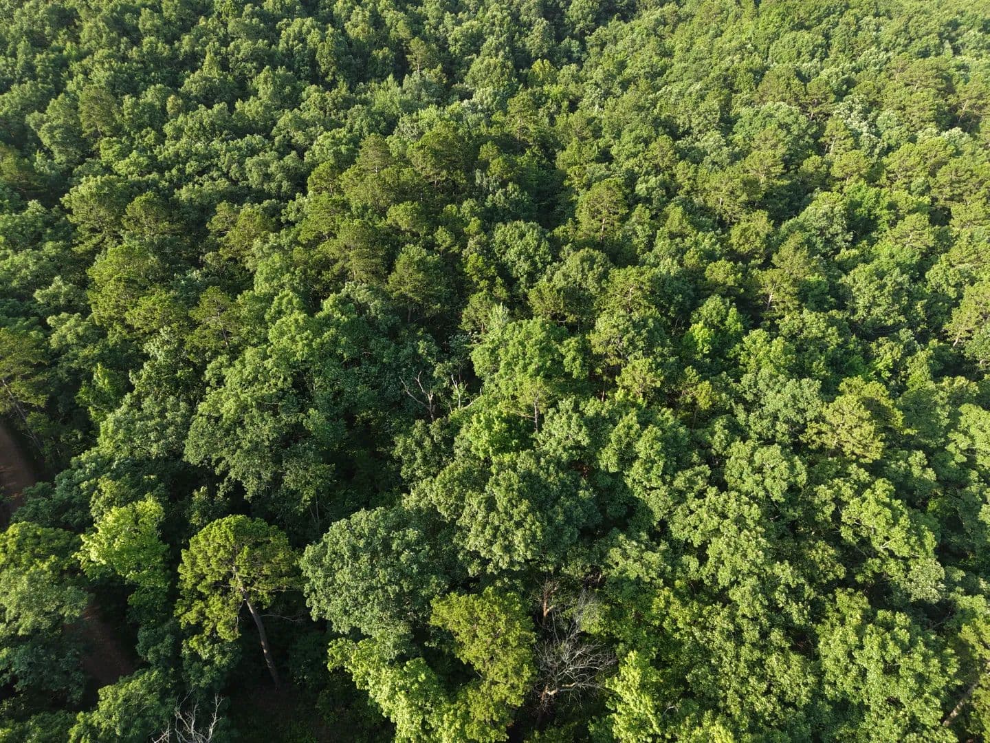 3.02 Acres in Polk County, AR - Mena, Arkansas, 71953