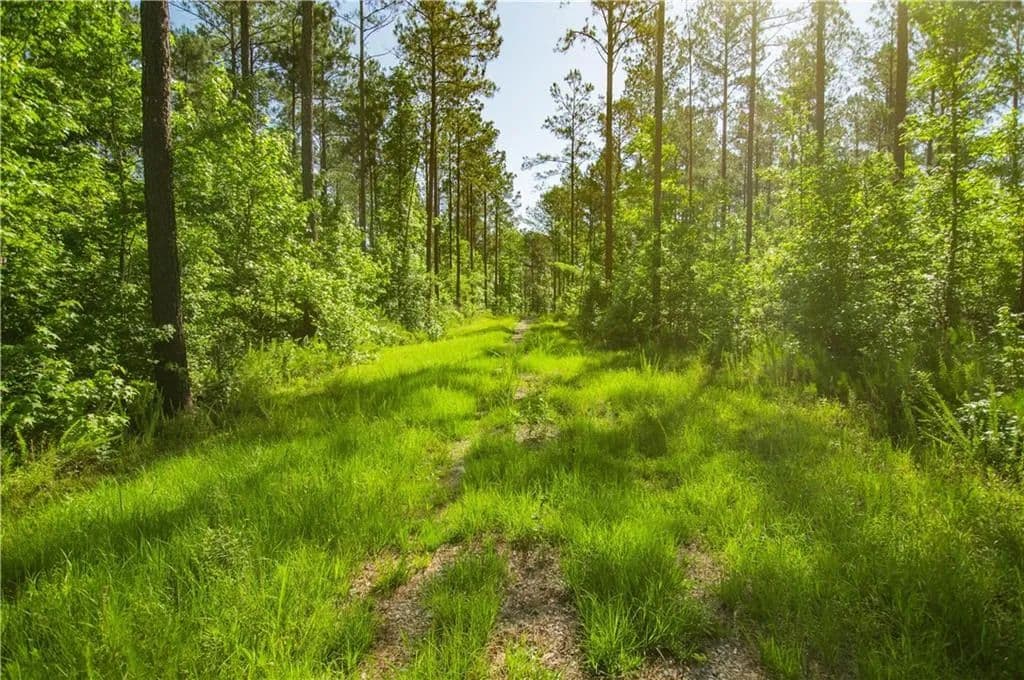 Property from 0 Weaver Jones Road - KW - Rutledge, Georgia, 30663